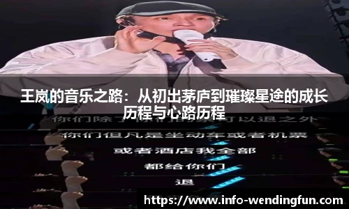 王岚的音乐之路：从初出茅庐到璀璨星途的成长历程与心路历程